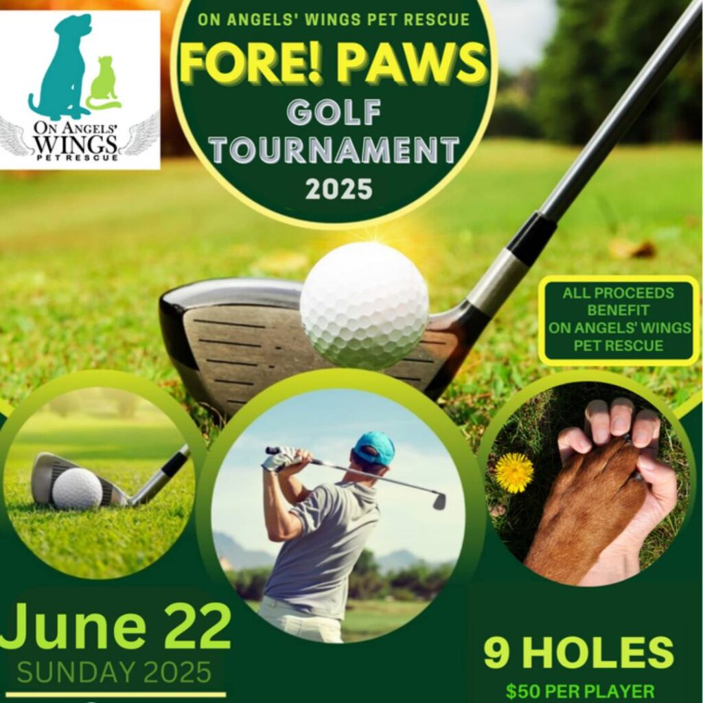 Angel's Wings Golf Outing Flyer
